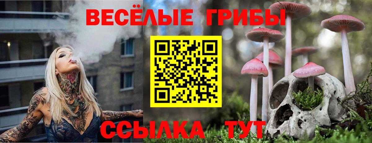 купить   Псилоцибиновые грибы ЛСД  Холмск  Вход с VPN  Псилоцибиновые грибы Psilocybine cubensis 