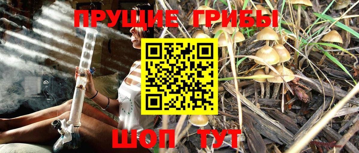 Псилоцибиновые грибы мицелий Холмск